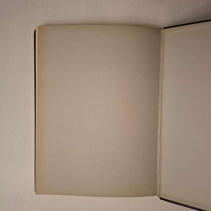 Vyftig Afrikaanse Skrywers - Van die Eerste Taalbeweging tot die Sestigers (leatherbound edition)