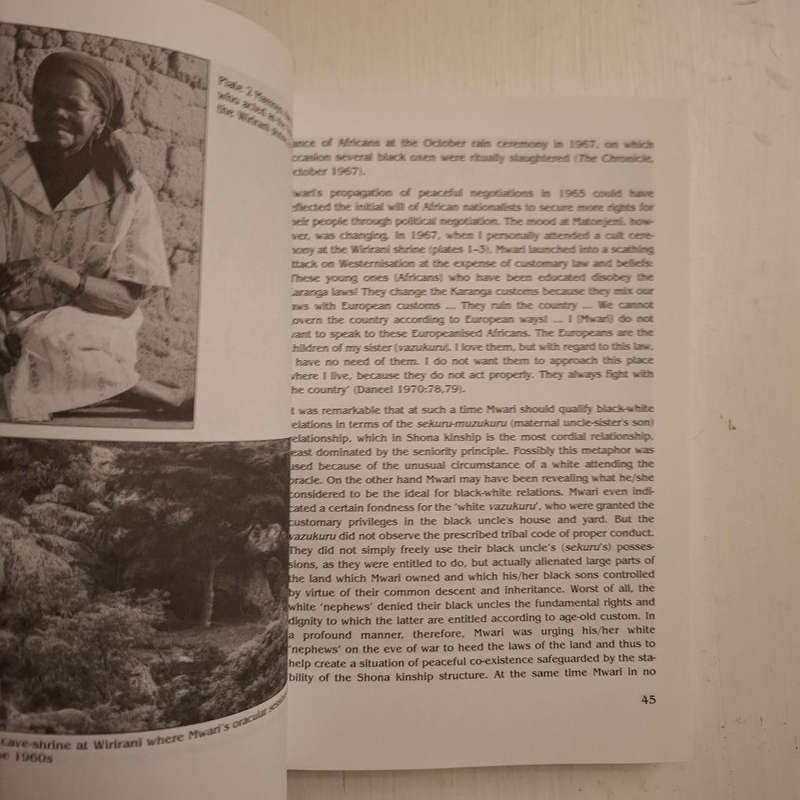 African Earthkeepers Volume 1: Interfaith Mission in Earth-Care (M. L. Daneel)