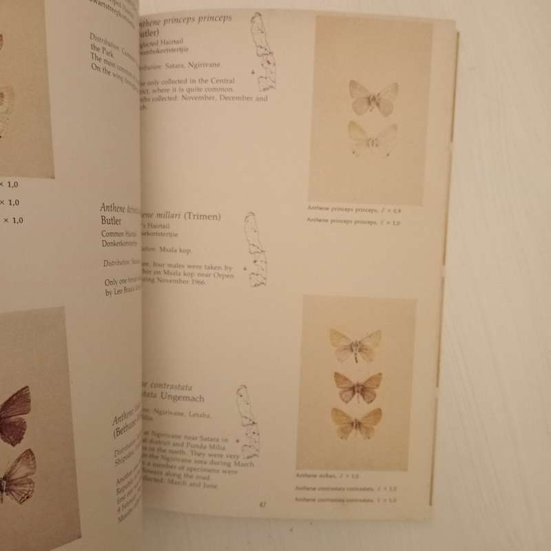 The butterflies of the Kruger National Park
