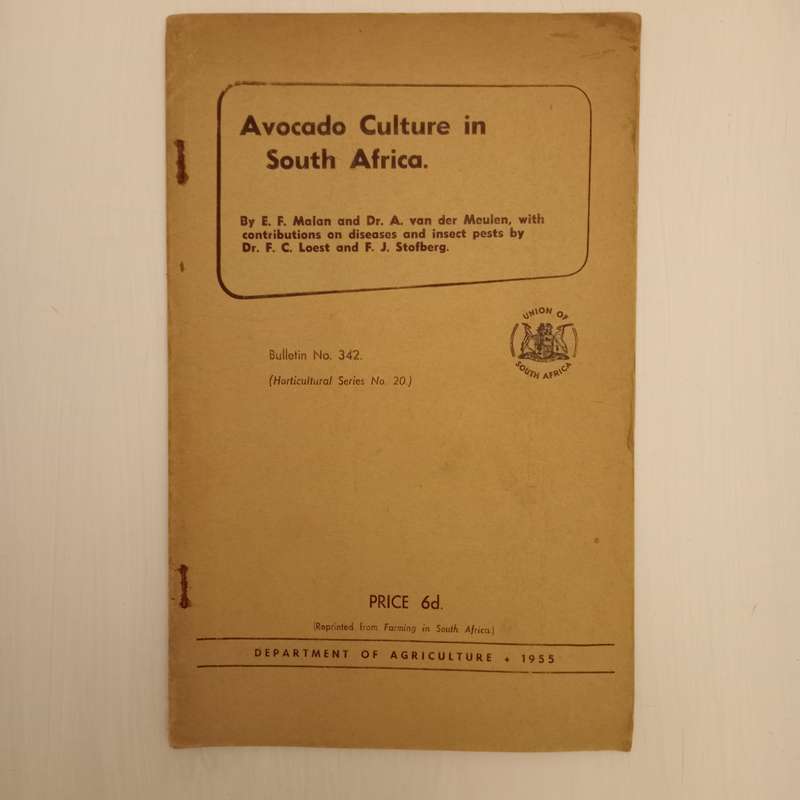Avocado Culture in South Africa