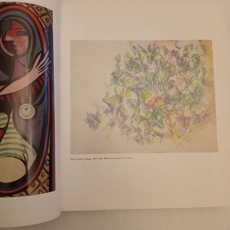 The Museum of Modern Art (New York)  Published by Harry N. Abrams, 1995