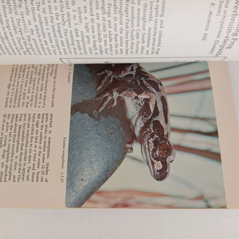 The Frogs of the Kruger National Park. A guide to a group of vertebrate animals known as "Amphibia"
