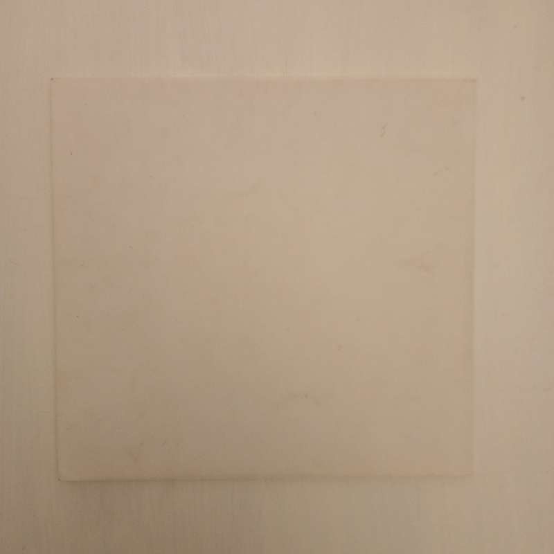 Our Land Ons Land: catalogue - The Pierneef Station Panels Revisited (Carl Becker, Monique Pelser)