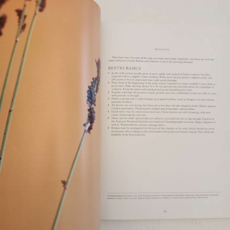 Forever Green: Plants in the Dream Time (Dave Pepler, Lien Botha, Laurian Brown)