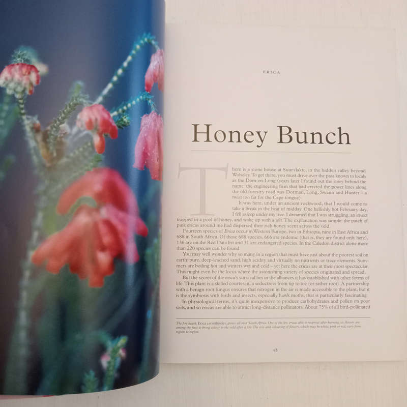 Forever Green: Plants in the Dream Time (Dave Pepler, Lien Botha, Laurian Brown)