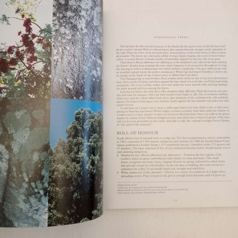 Forever Green: Plants in the Dream Time (Dave Pepler, Lien Botha, Laurian Brown)