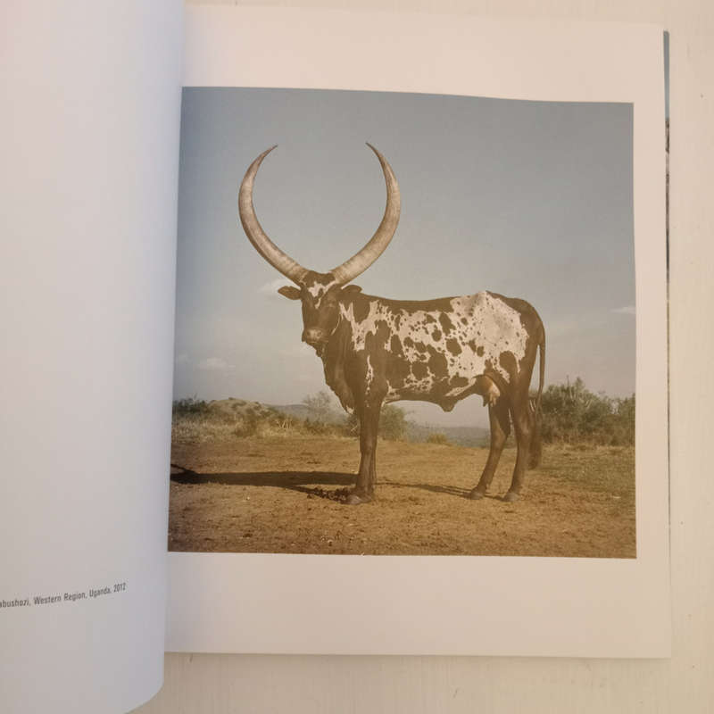 Sightings of the Sacred (Daniel Naude)