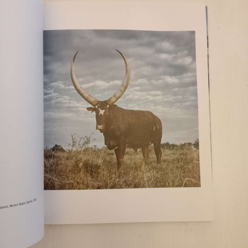 Sightings of the Sacred (Daniel Naude)