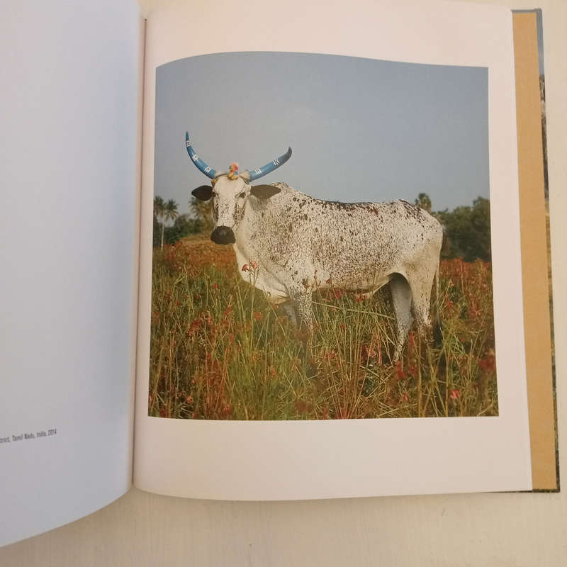 Sightings of the Sacred (Daniel Naude)