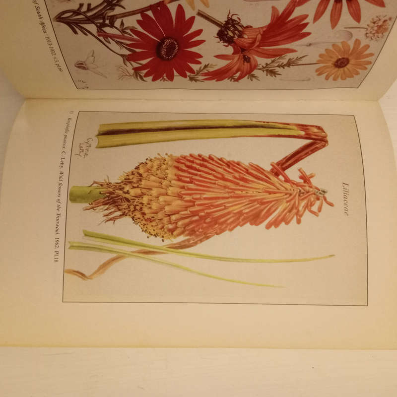 Southern African botanical literature, 1600-1988 (A. S. Kerkham)