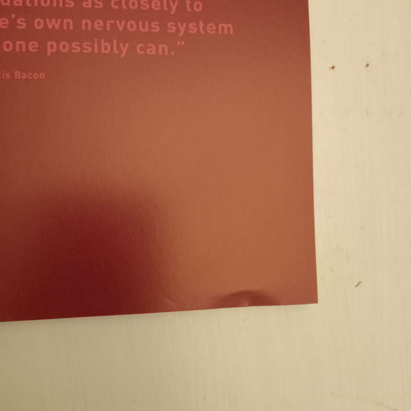 Francis Bacon: Living Art (Anna Maria Wieland)