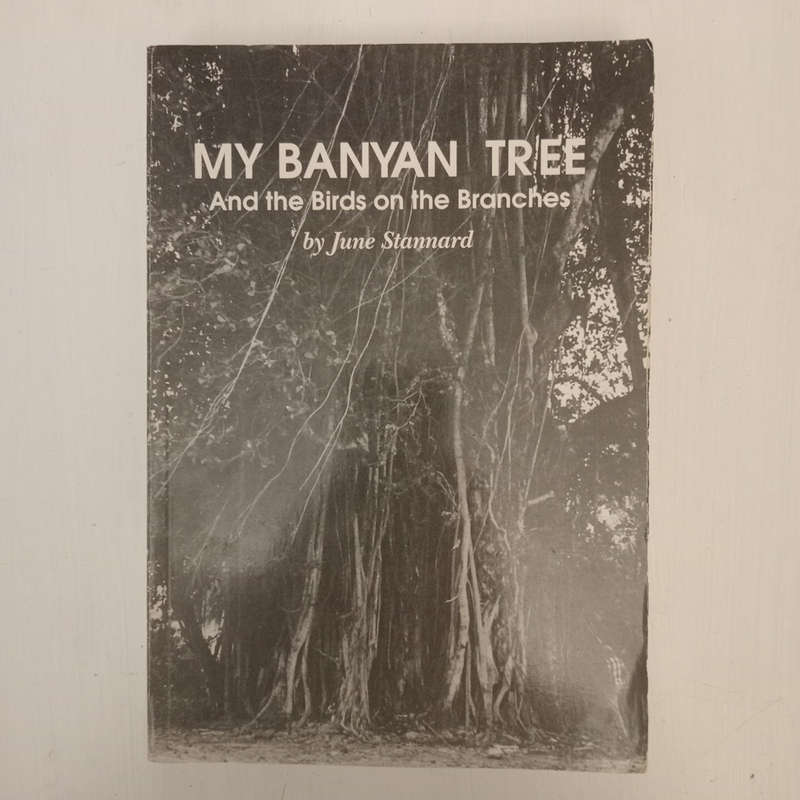 My Banyan Tree and the Birds on the Branches (June Stannard)