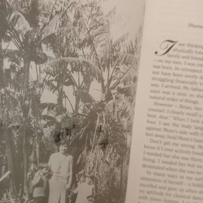 My Banyan Tree and the Birds on the Branches (June Stannard)