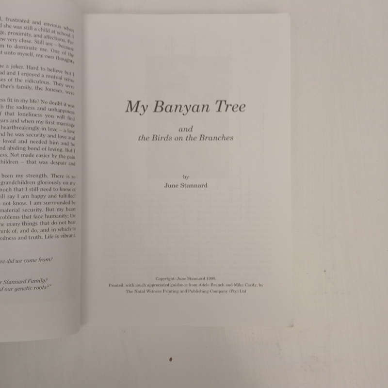 My Banyan Tree and the Birds on the Branches (June Stannard)