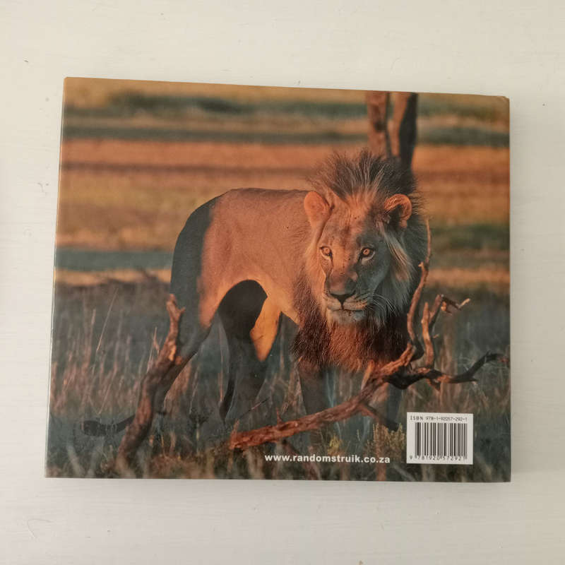 Kalahari Summer: In photographs and oils - Robert Grogan