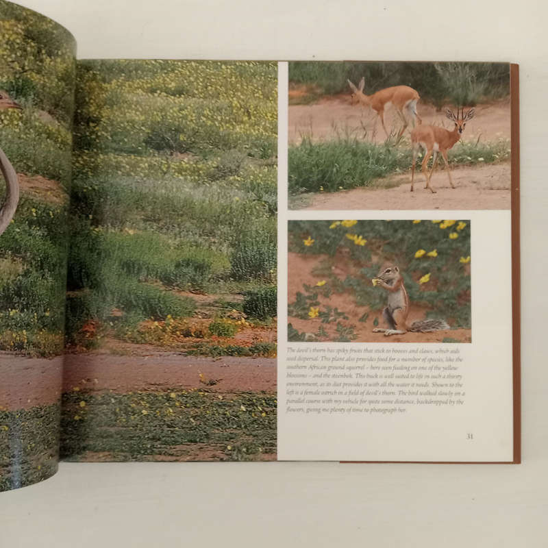 Kalahari Summer: In photographs and oils - Robert Grogan