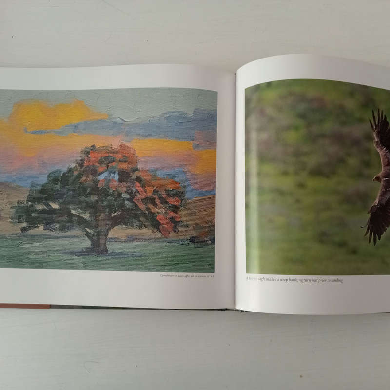 Kalahari Summer: In photographs and oils - Robert Grogan