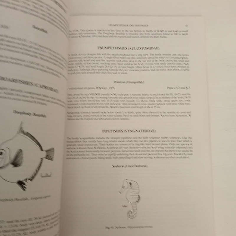 Fish and Fisheries of Saint Helena Island (Alasdair Edwards)