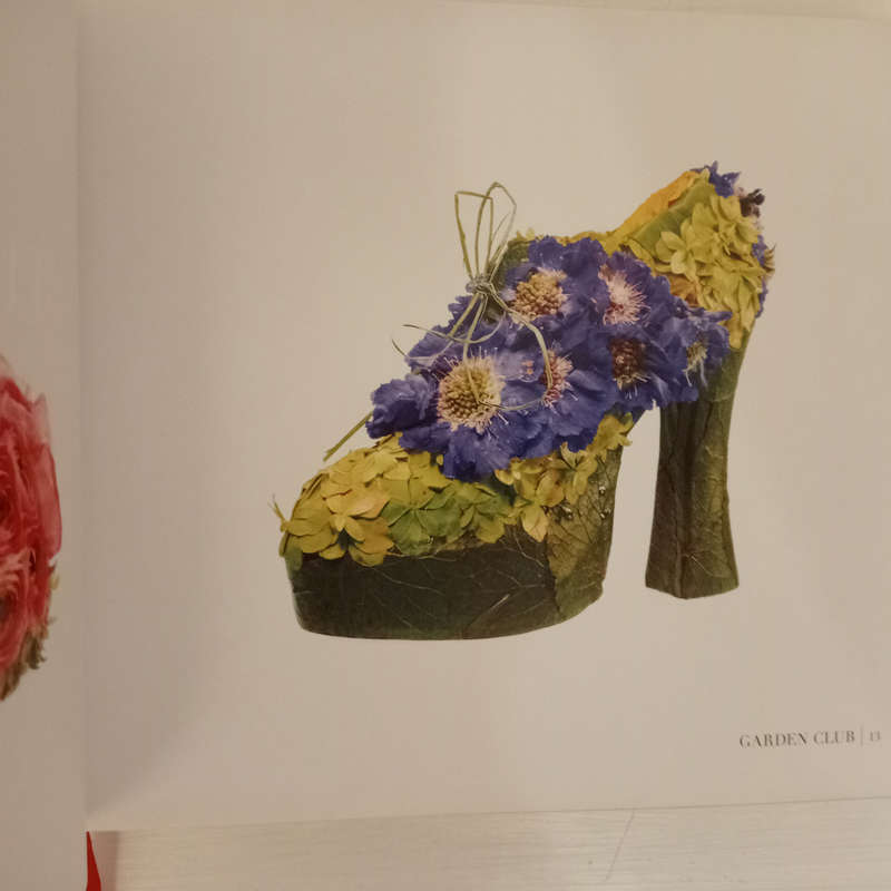 Art & Sole: A Spectacular Selection of More Than 150 Fantasy Art Shoes from the Stuart Weitzman Coll