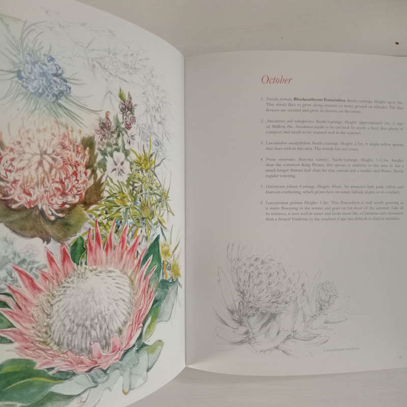 Fynbos Far & Wide  (Jane Kelly-Crowe)