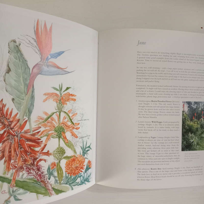 Fynbos Far & Wide  (Jane Kelly-Crowe)