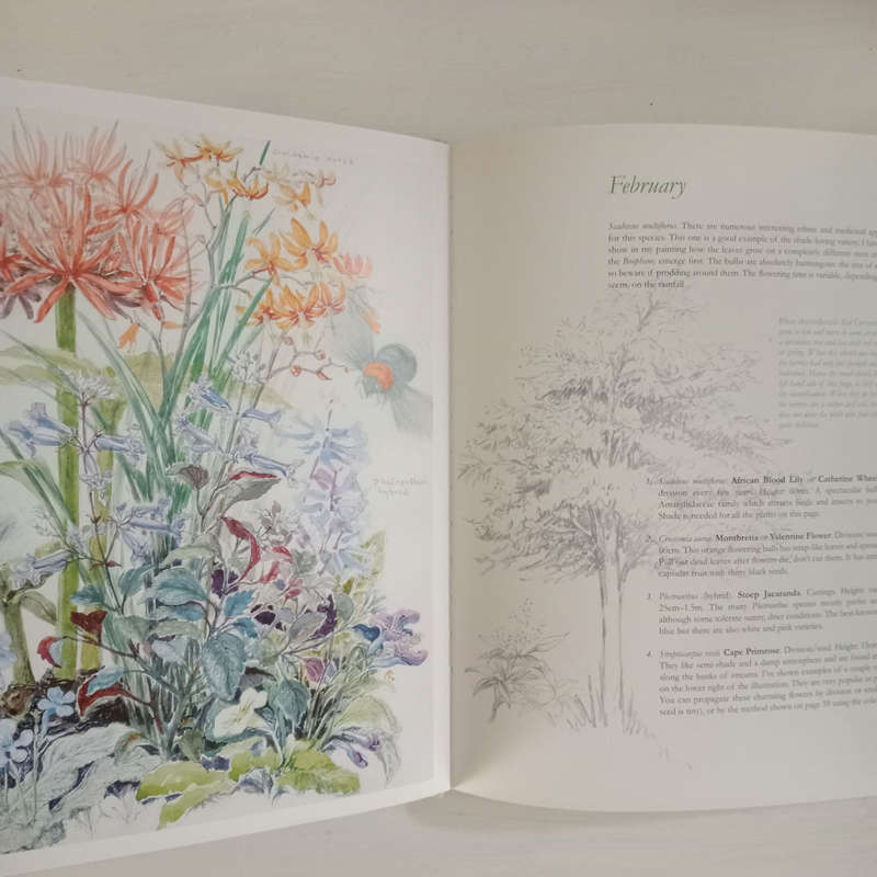 Fynbos Far & Wide  (Jane Kelly-Crowe)