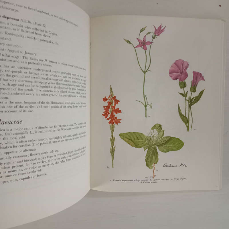 Wild Flowers of the Witwatersrand (Lucas, Annabelle , Pike, Barbara)