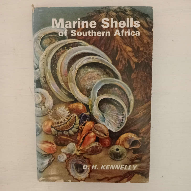 Marine Shells of Southern Africa (D.H.Kennelly)