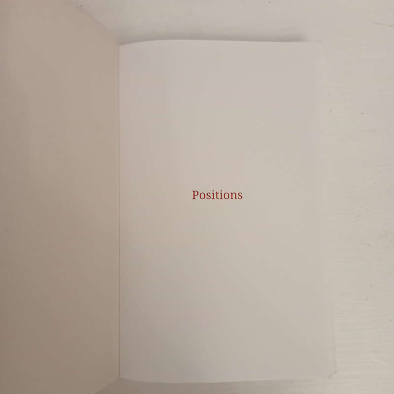 Positions: Contemporary artists in South Africa (Peter Anders, Matthew Krouse)