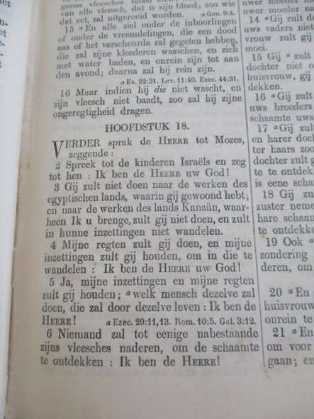 'n Baie ou Hollandse Bybel met gebosseleerde leer omslag