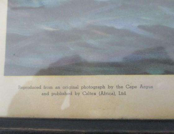 Vintage 1952 Union of South Africa lithograph of Drommedaris