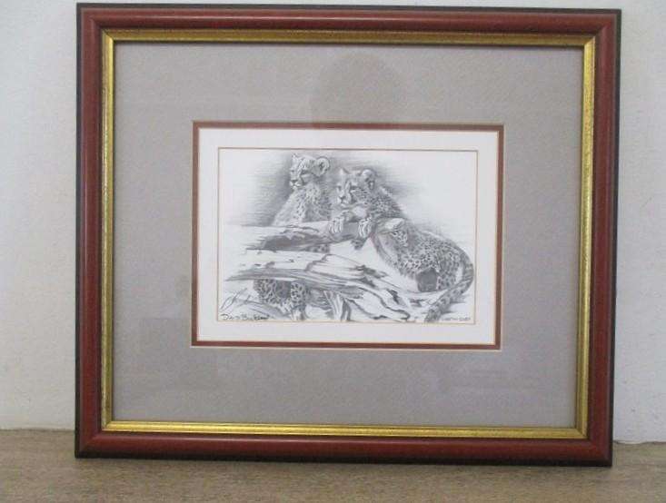 Two beautifully framed prints of Leopard and Cheetah cubs sketched by S.A. artist David Bucklow