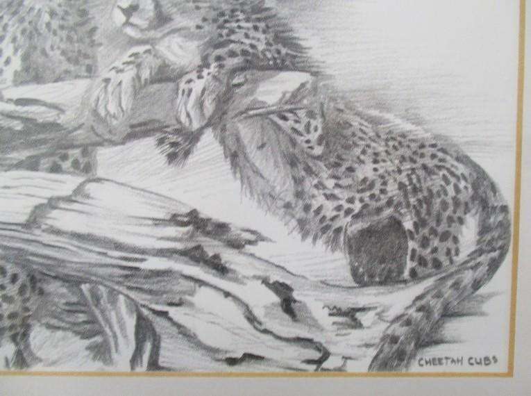 Two beautifully framed prints of Leopard and Cheetah cubs sketched by S.A. artist David Bucklow