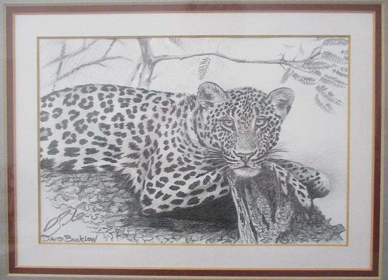 Two beautifully framed prints of Leopard and Cheetah cubs sketched by S.A. artist David Bucklow