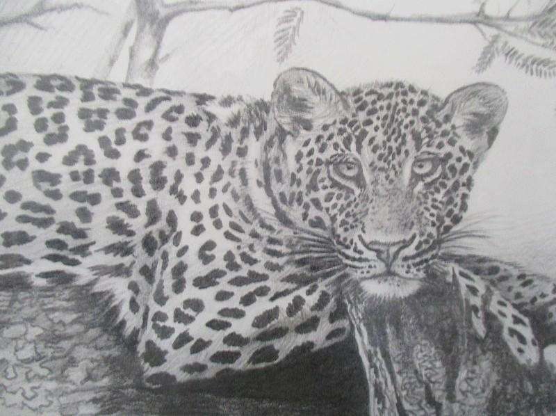 Two beautifully framed prints of Leopard and Cheetah cubs sketched by S.A. artist David Bucklow