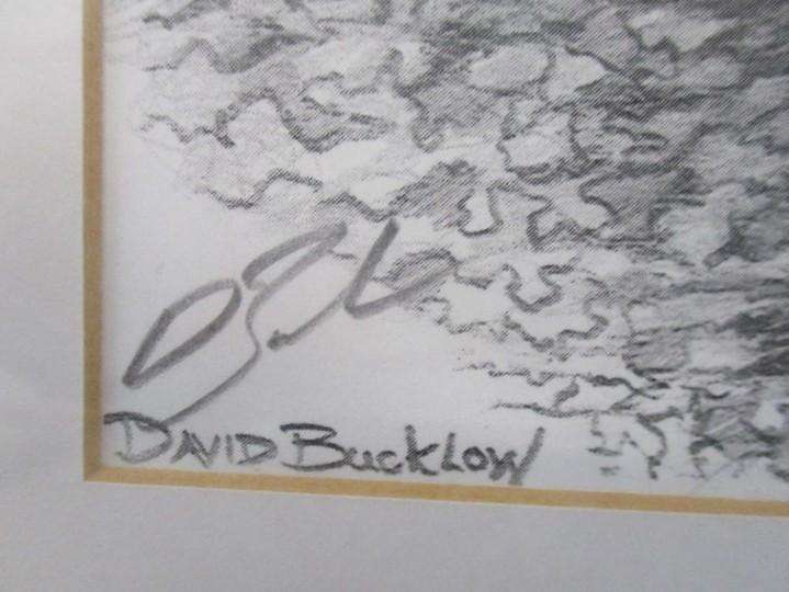 Two beautifully framed prints of Leopard and Cheetah cubs sketched by S.A. artist David Bucklow