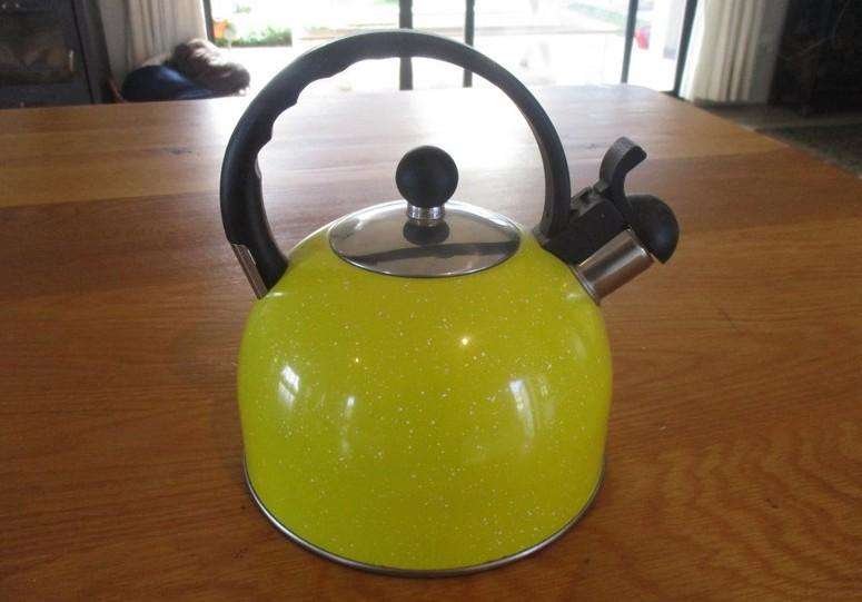 A cheerful gas/stove top singing kettle
