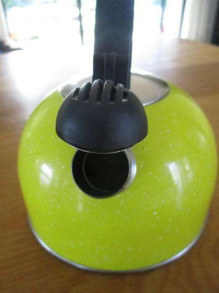A cheerful gas/stove top singing kettle