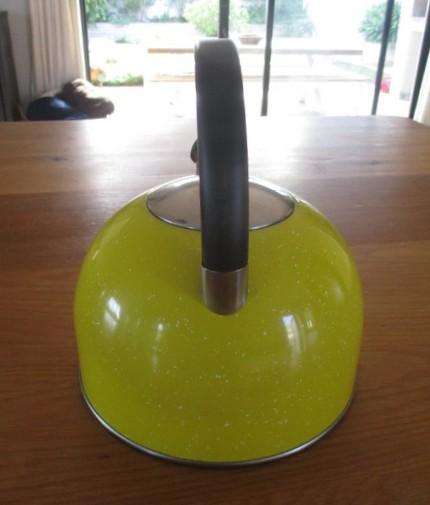 A cheerful gas/stove top singing kettle