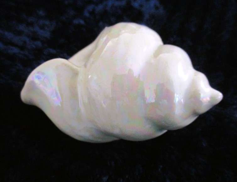 A  set of twelve pearlescent porcelain serviette rings with clam shaped salt and pepper cellars