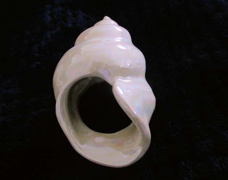 A  set of twelve pearlescent porcelain serviette rings with clam shaped salt and pepper cellars