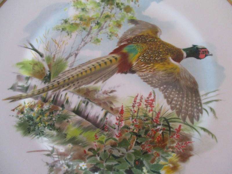Royal Chelsea Fine Bone China - three plates from their "Birds of the Countryside" collection