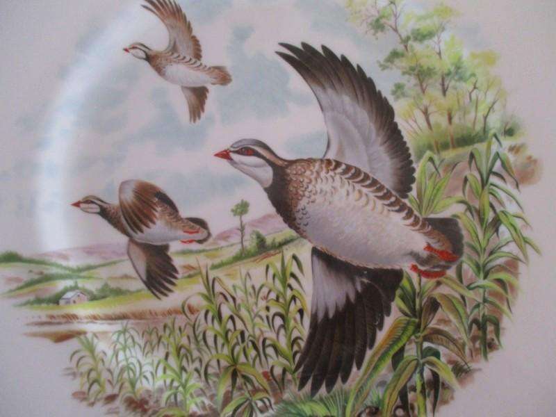 Royal Chelsea Fine Bone China - three plates from their "Birds of the Countryside" collection