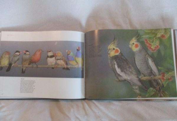 Beautiful Lisa Halstead art book - "loyal Companions'