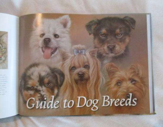 Beautiful Lisa Halstead art book - "loyal Companions'