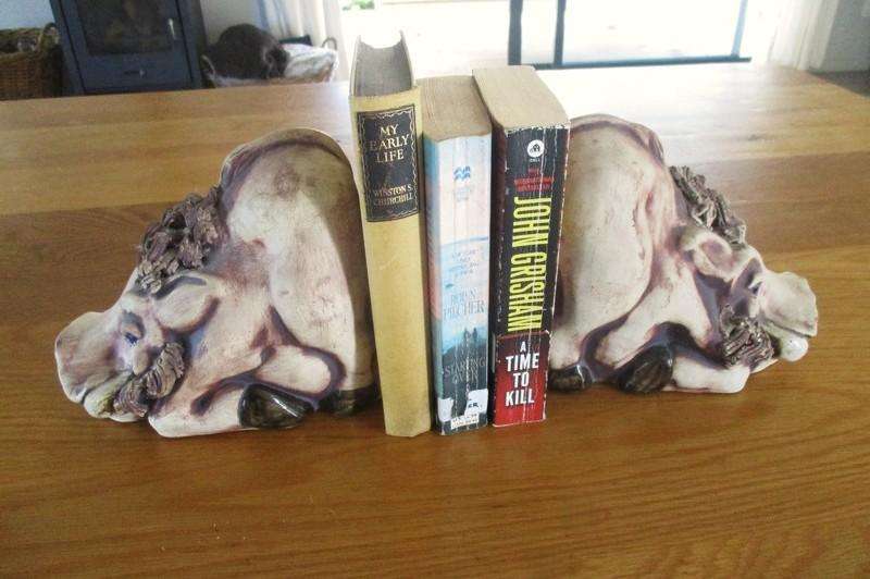So original! a pair of large ceramic warthog bookends
