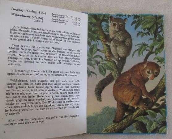 1969 rare ladybird book for the collector - Afrikaans - Die Soogdiere van Afrika