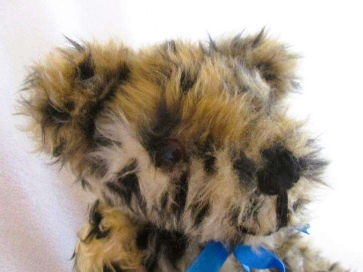 Unique Templar Teds hand crafted artist's bear- an African Cheetah Bear - fully articulated