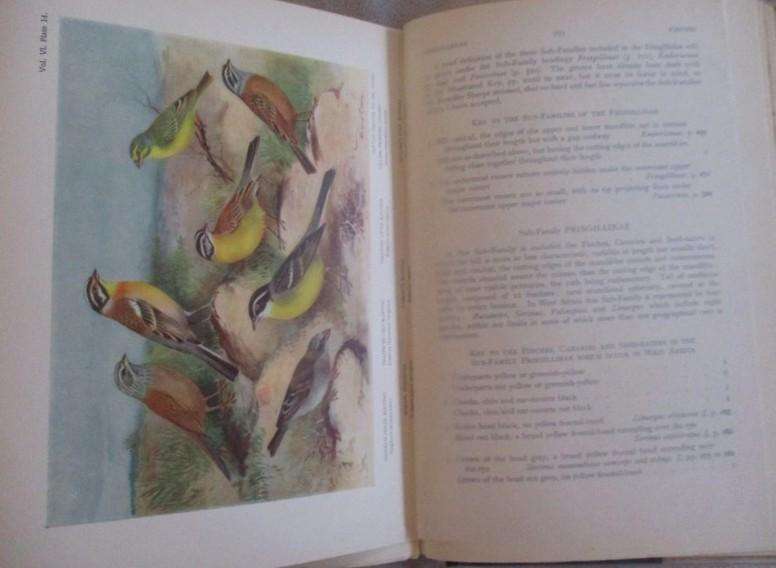 Two large, valuable First editions - The Birds of Tropical West Africa by David Armitage Bannerman