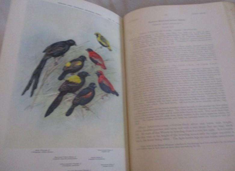 Two large, valuable First editions - The Birds of Tropical West Africa by David Armitage Bannerman